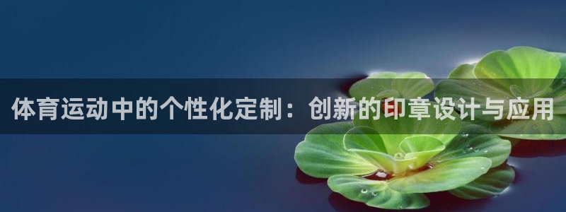vsport体育官网下载招商:体育运动中的个性化定制:创新的