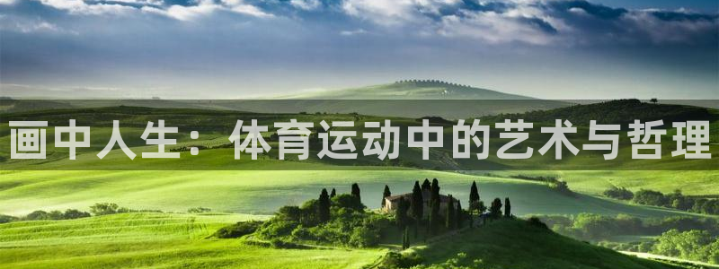 vsport体育官网下载平台是正规平台吗:画中人生:体育运动