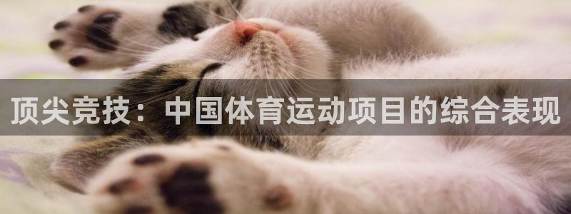 vsport体育官网下载软件:顶尖竞技:中国体育运动项目的综
