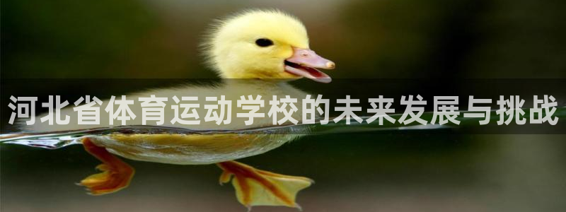 vsport体育官方正版app娱乐代理怎么样:河北省体育运动