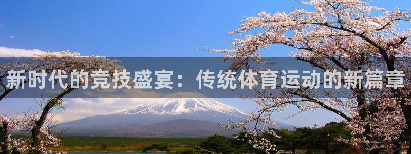 vsport体育官方正版app开户:新时代的竞技盛宴:传统体