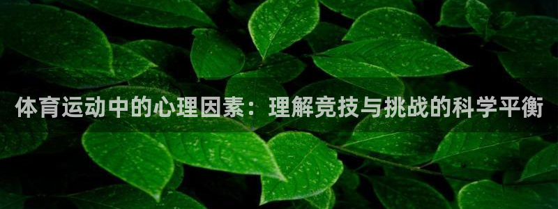 vsport体育官方正版app娱乐是那个系列的台子:体育运动